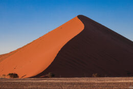 Namibia_April_2025 (21/79)